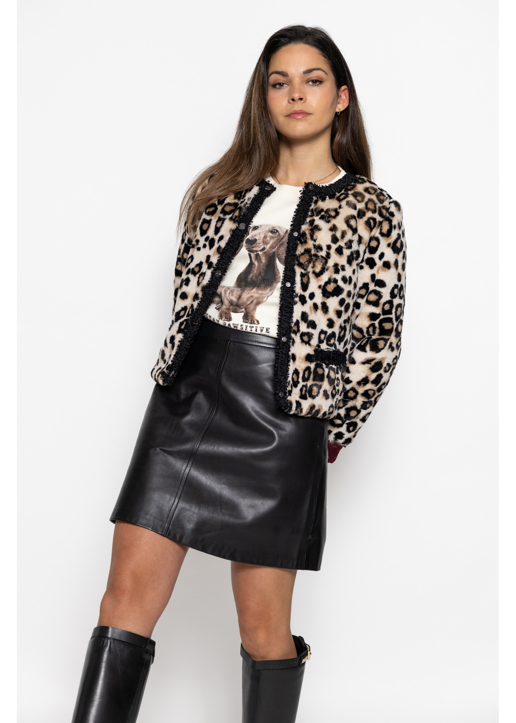 Rok ZC 71.01 L01 900