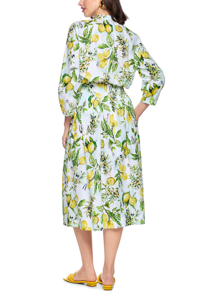 Rok AA 71.01 W02 100