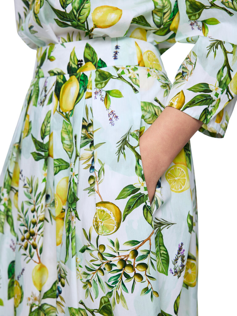 Rok AA 71.01 W02 100