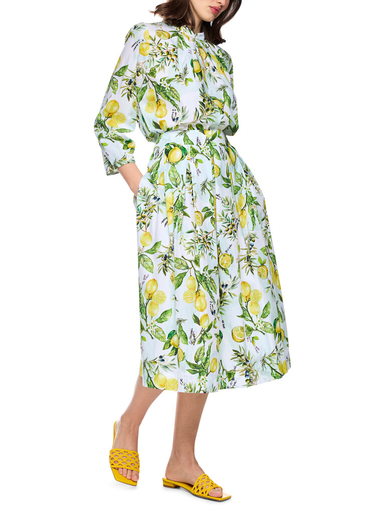Rok AA 71.01 W02 100