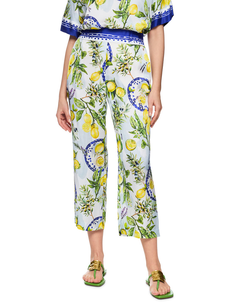 Broek AA 81.51 W03 100