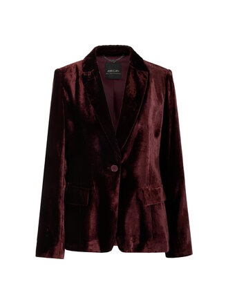 Fluwelen blazer
