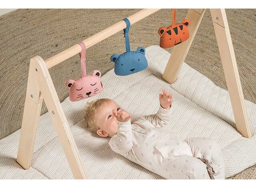Babygym hout