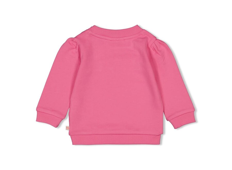 Sweater - Berry Nice roze