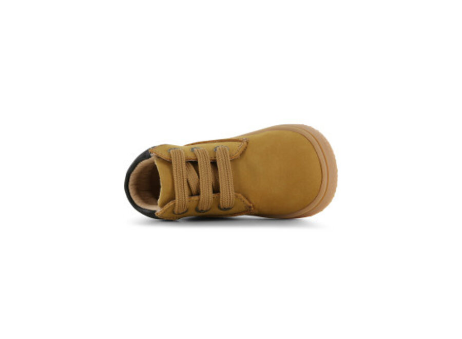 Baby-Proof OCHRE
