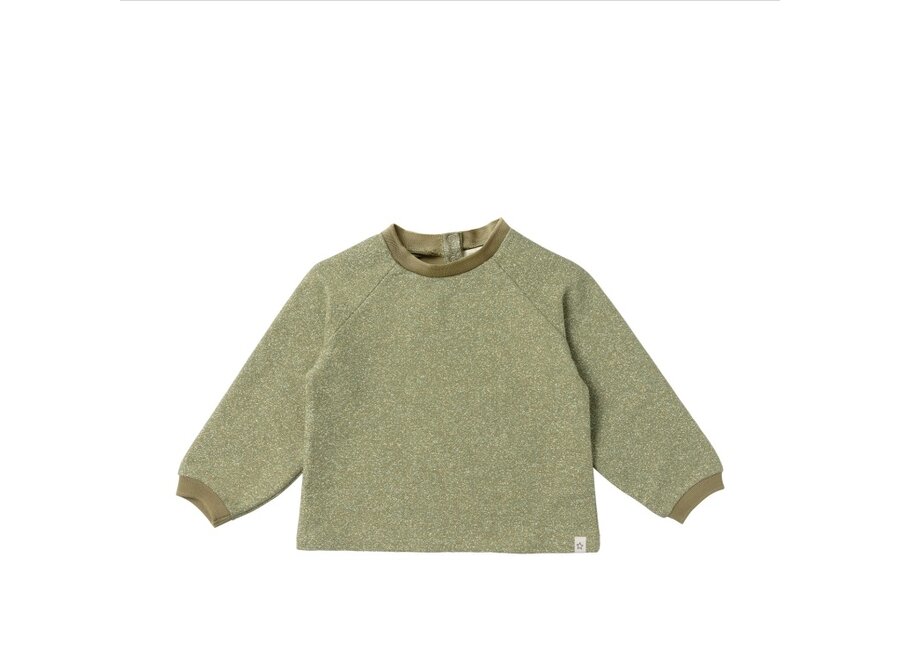 Glitter | Raglan Top  - Olive Branch