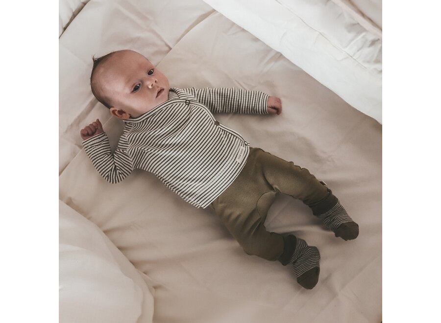 Solid | Fitted Pants dried herb