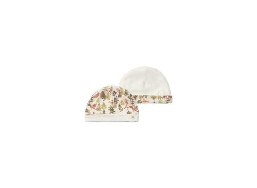 Dragon | Reversible Beanie