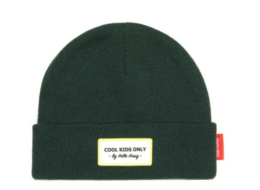 Beanie Urban Green