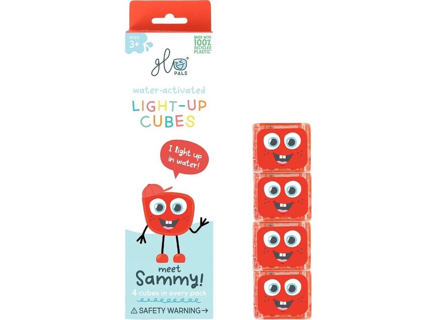 Light up cubes-4pc Sammy