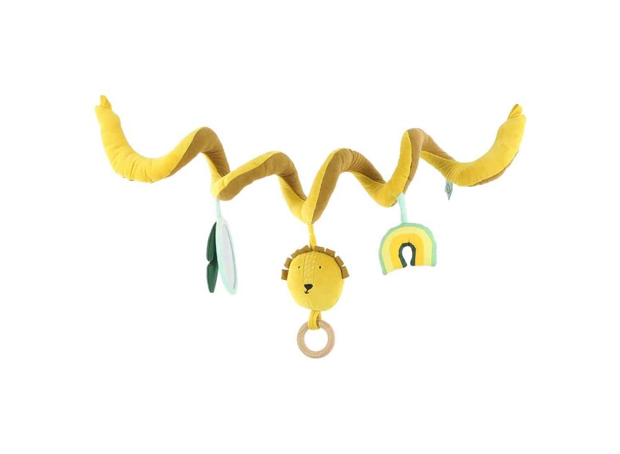 Activiteitenspiraal - Mr. Lion