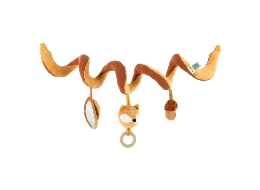 Activiteitenspiraal - Mr. Fox