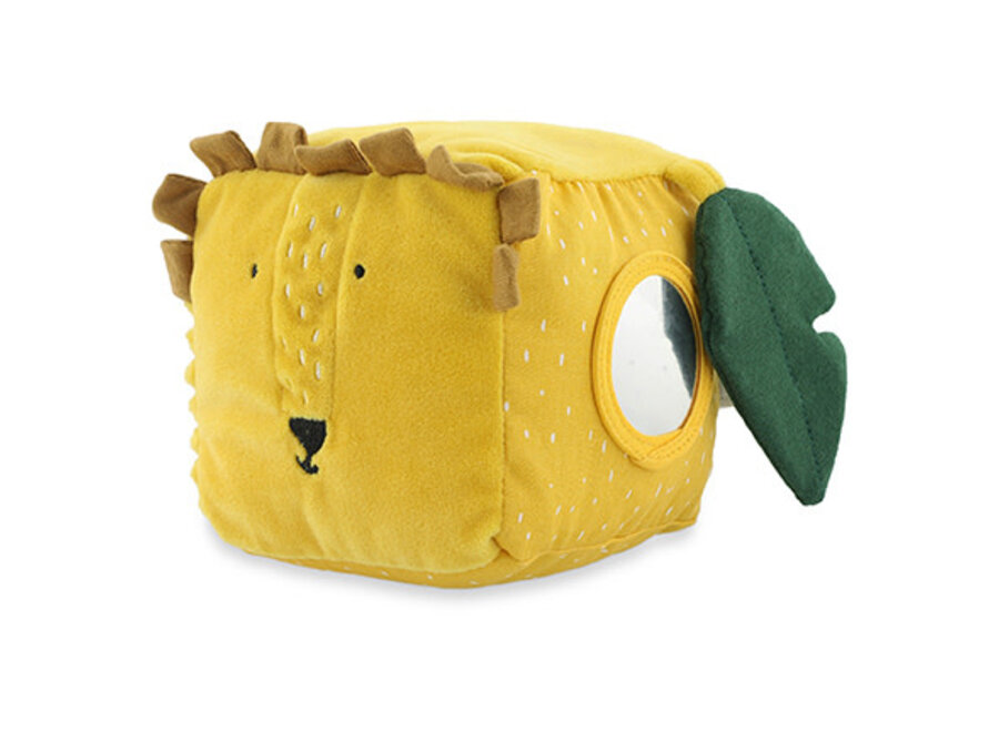 Activiteitenkubus - Mr. Lion