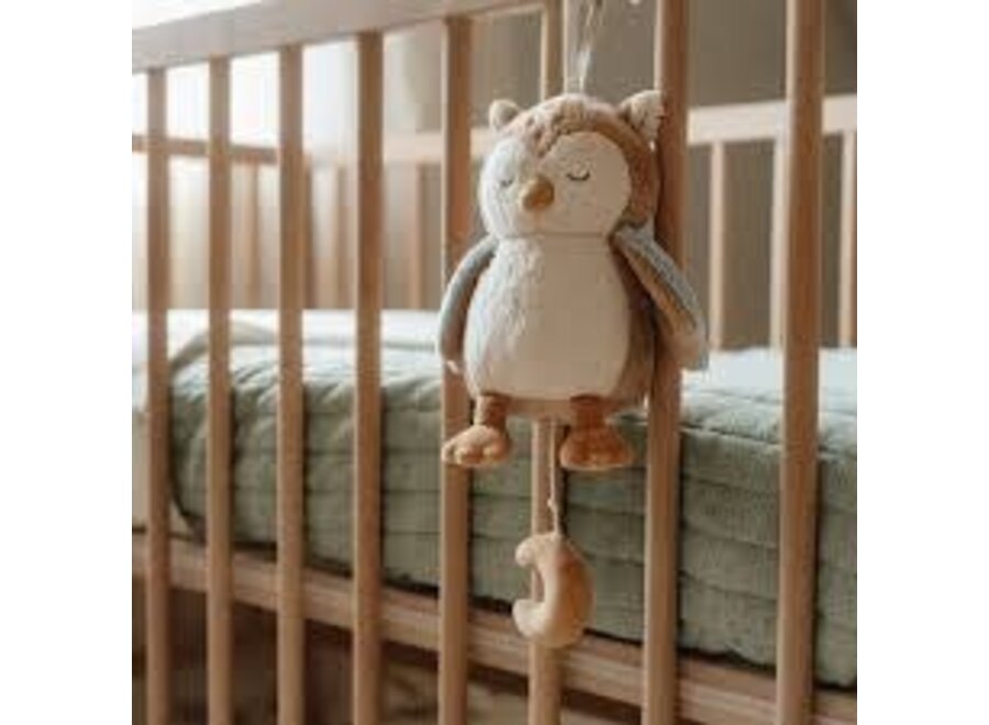 Muziekdoos Uil - Forest Friends GRS