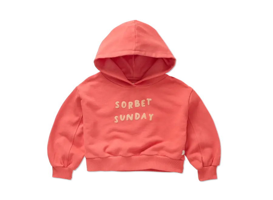 Cropped hooded sweatshirt - Rose Petal
