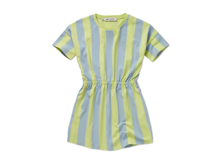 Skater dress stripes - Citrus