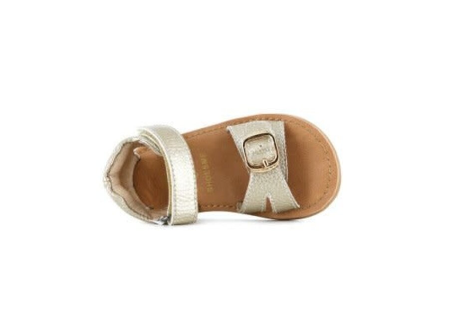 CLASSIC SANDAL Gold