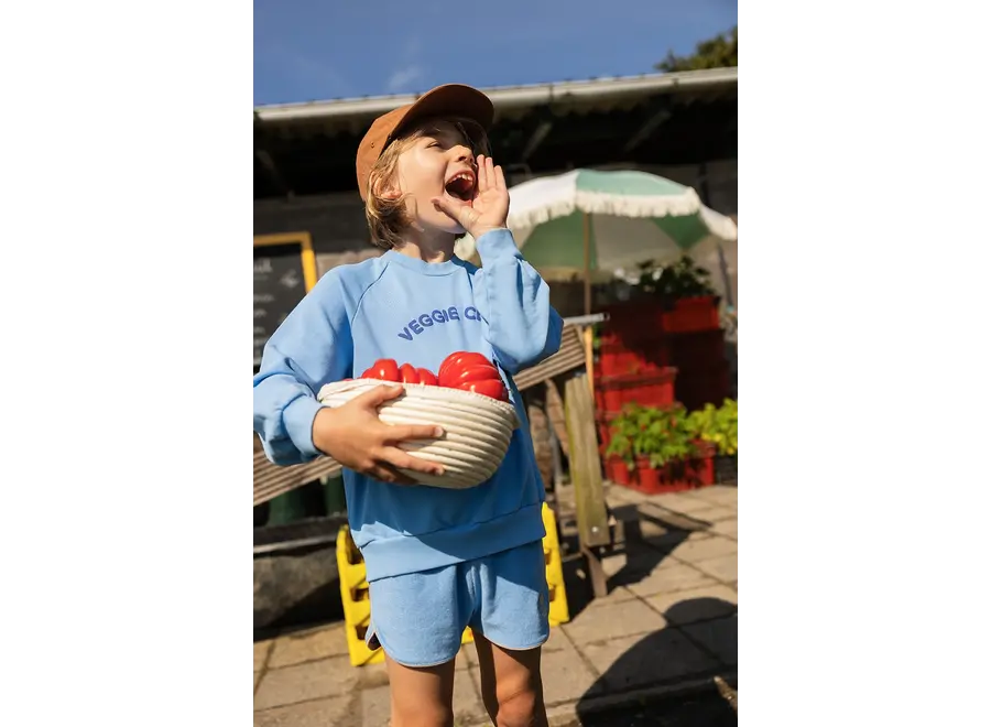 Raglan sweatshirt veggie club - Breezy Blue