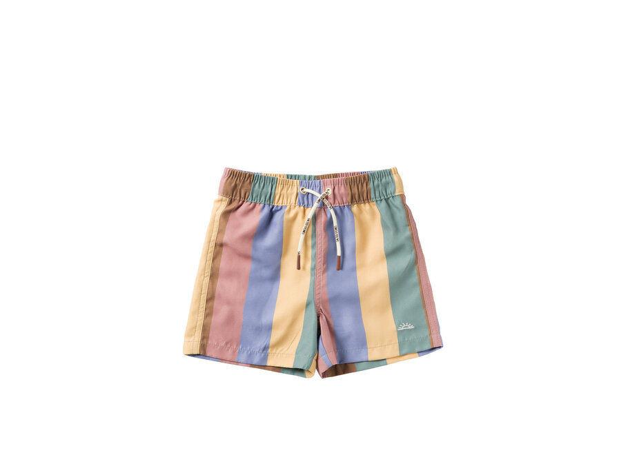 Multi Stripe | Swim Shorts - Multi Color