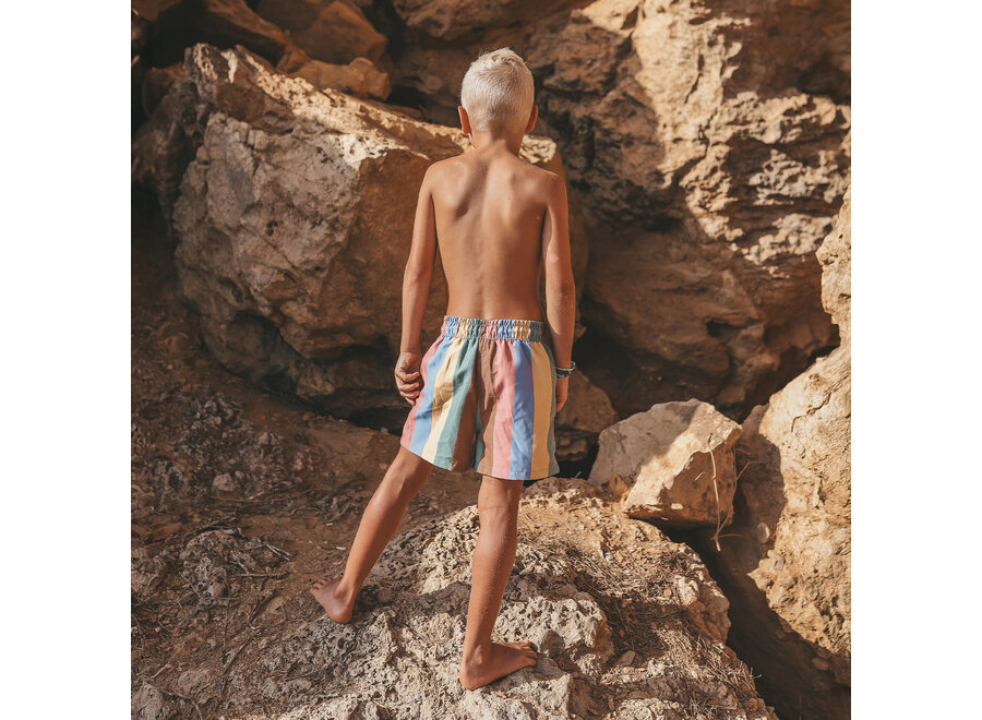 Multi Stripe | Swim Shorts - Multi Color
