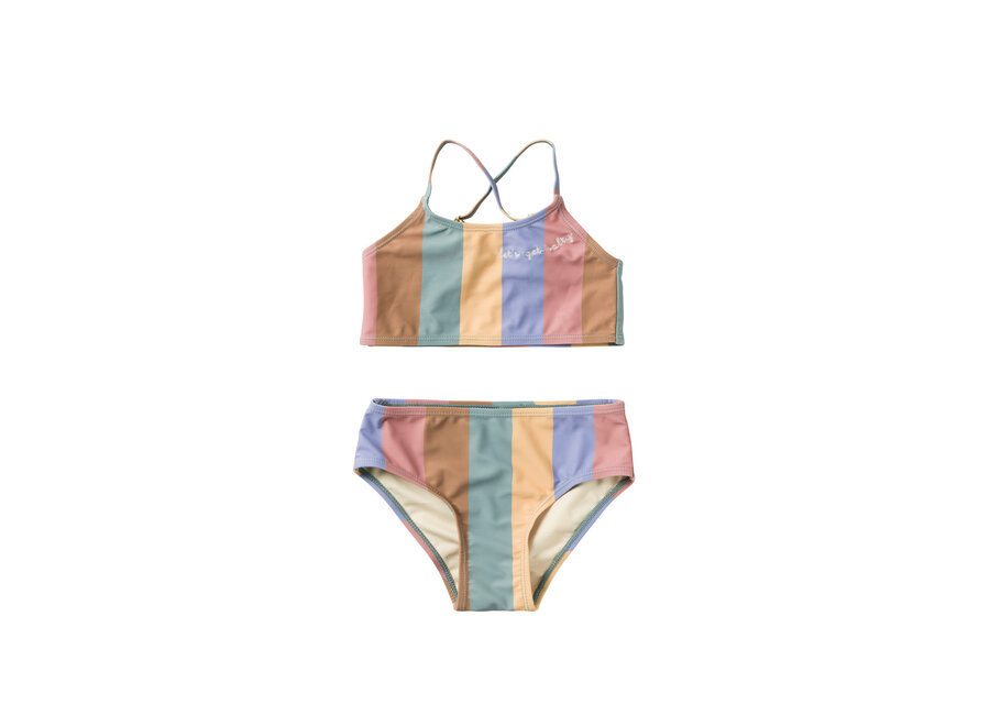Multi Stripe | Bikini - Multi Color