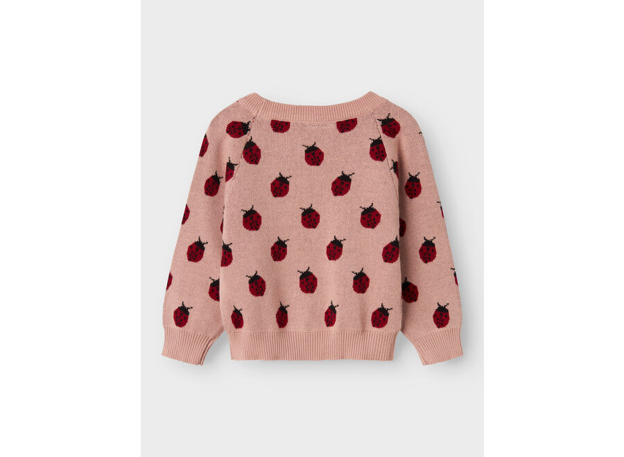 Trui Lulio lady bug - Misty rose