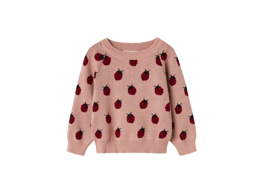 Trui Lulio lady bug - Misty rose