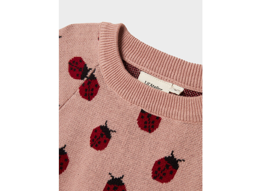 Trui Lulio lady bug - Misty rose