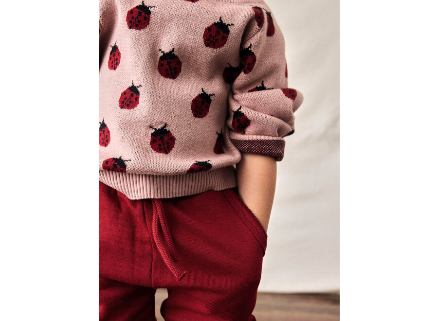 Trui Lulio lady bug - Misty rose