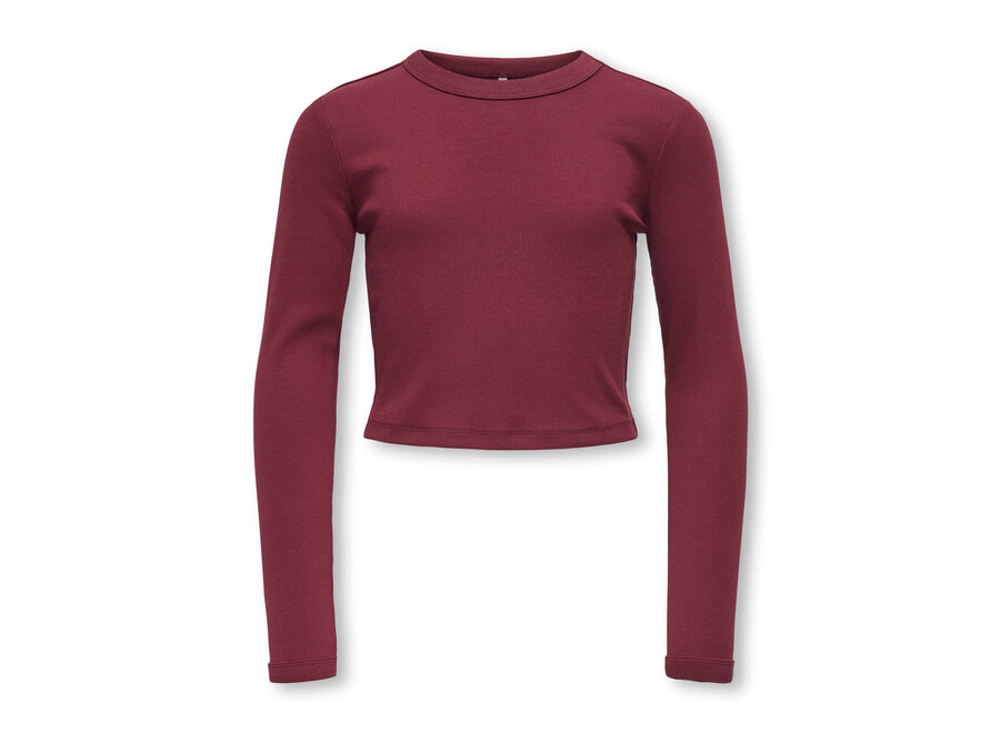 Longsleeve Bina top life - Cabernet