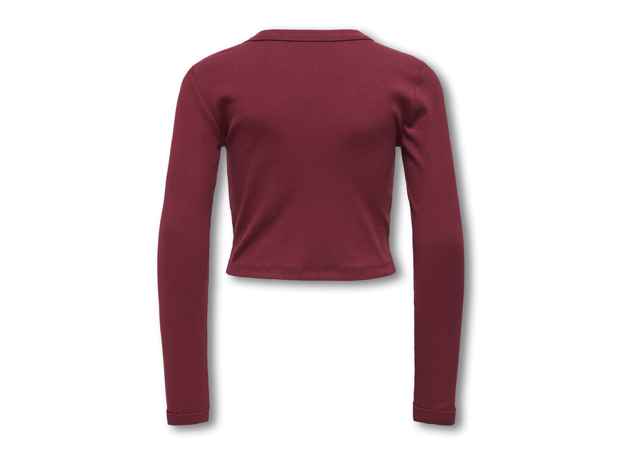 Longsleeve Bina top life - Cabernet