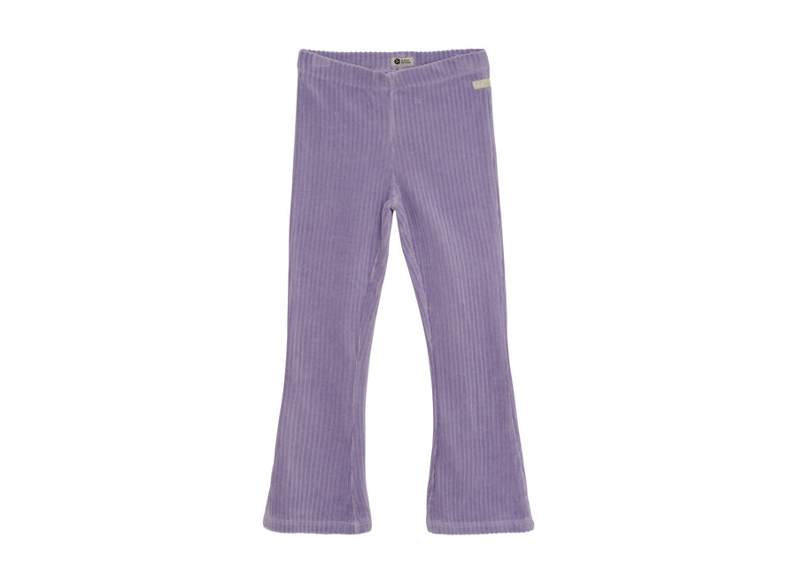 Flared Velvet Pants - Daybreak