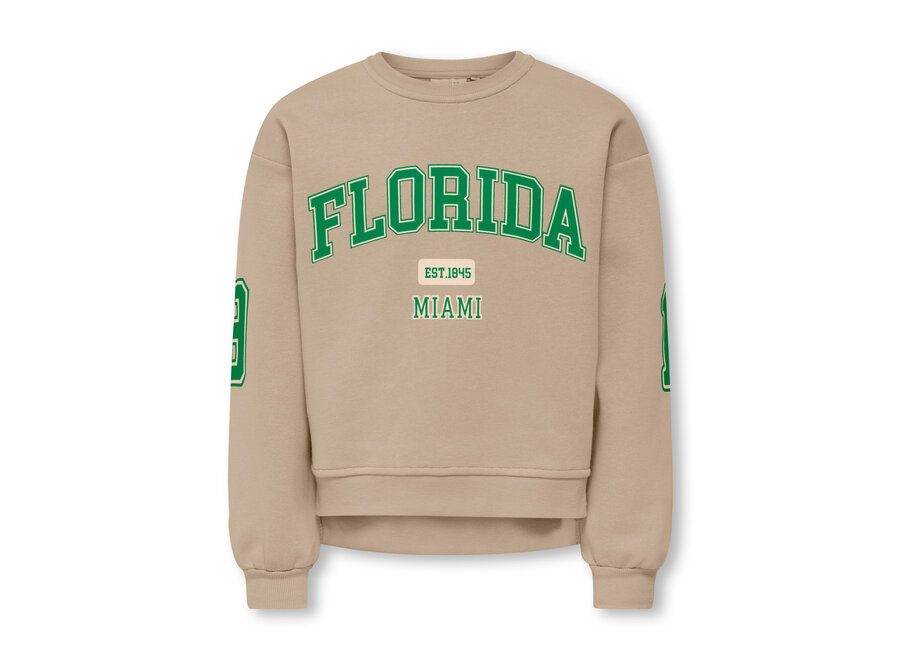 Sweat VICTORY LIFE L/S O-NECK Medium Green