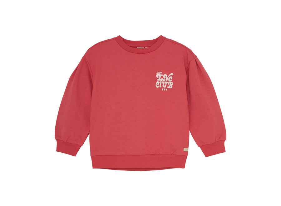 Sweater Brushed Print - Baked Apple