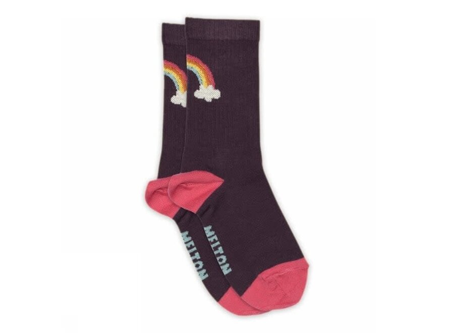Rainbow socks - Hortensia