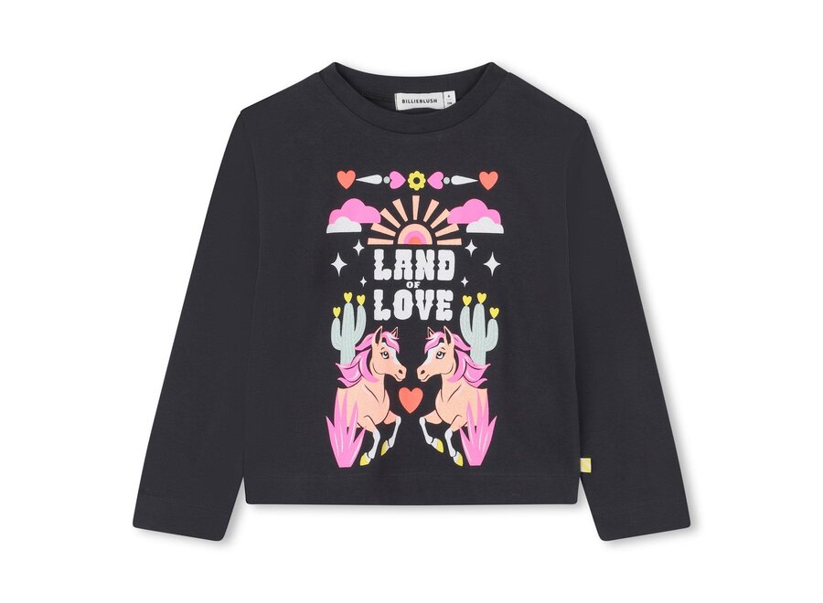 Longsleeve shirt - Dark grey