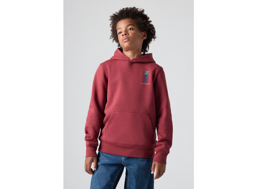 LVB SADDLE MAN HOODIE - RED PEAR