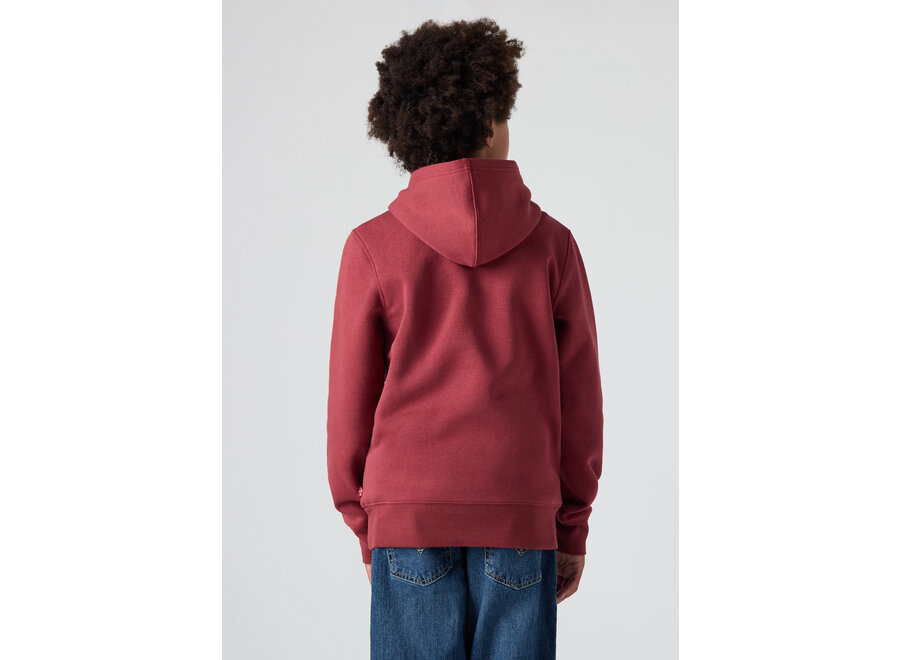 LVB SADDLE MAN HOODIE - RED PEAR