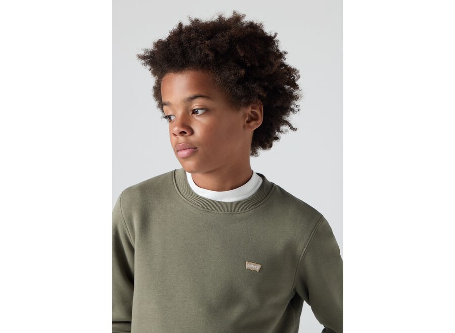 LVB MINI LOGO CREWNECK SWEATSH - Deep lichen green