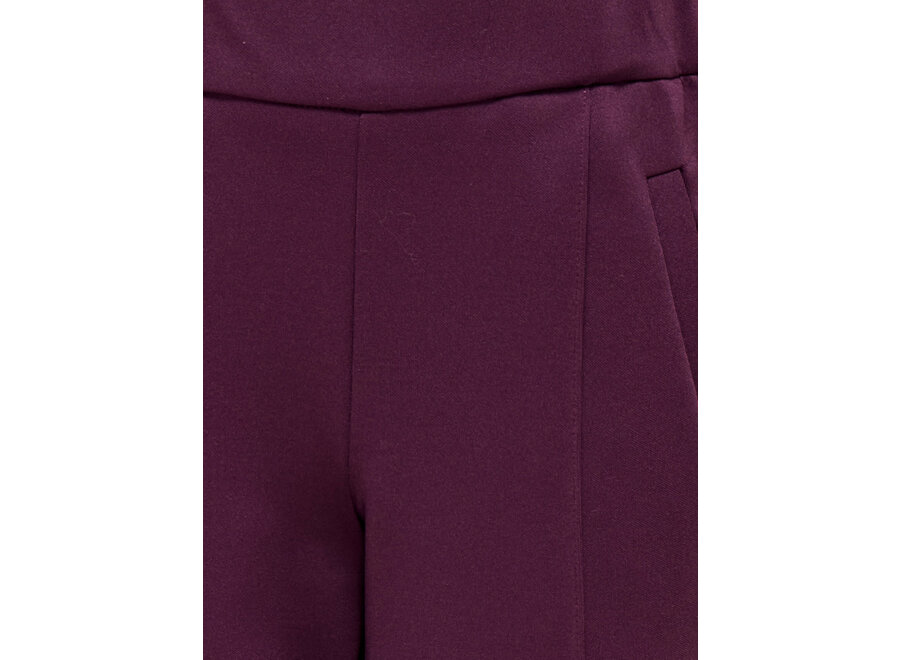 Broek - Warm up life track pant mauve