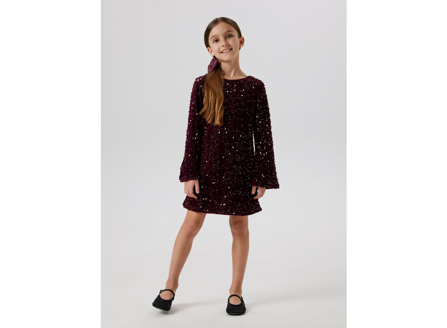 Jurk rusita glitter bow burgundy
