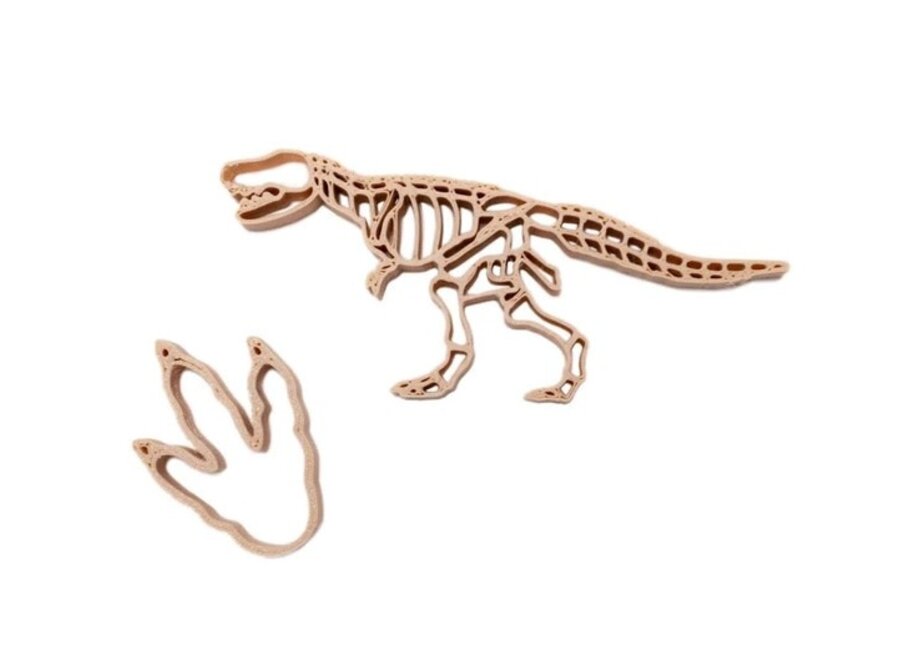 uitstekers dino en poot