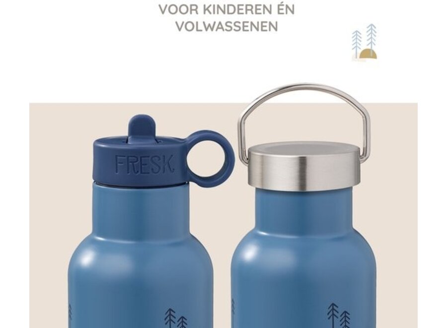 Thermosfles 500 ml Dino