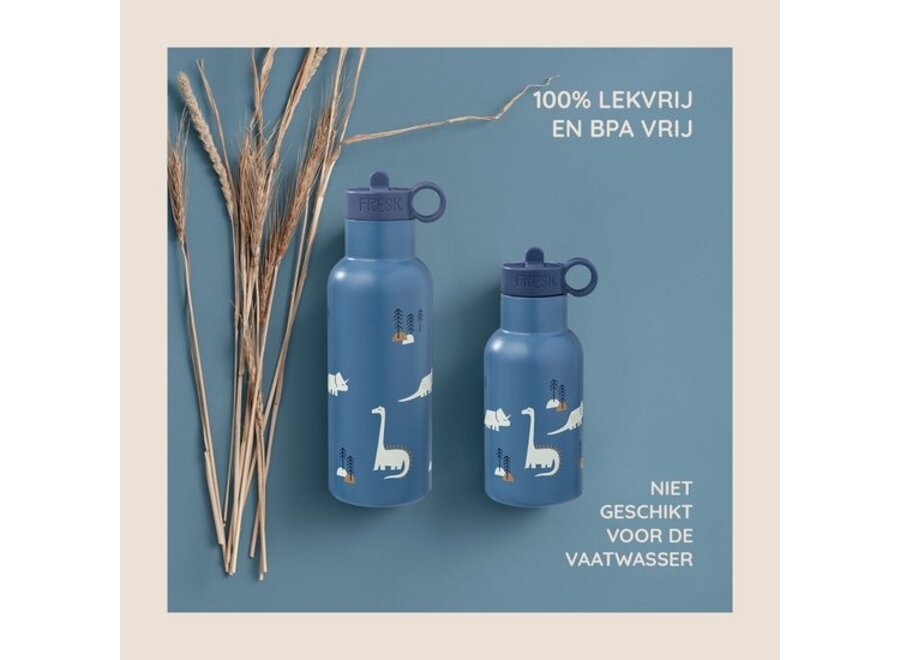 Thermosfles 500 ml Dino