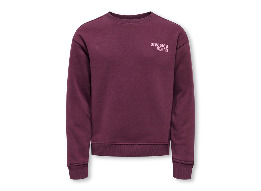 Trui Camine L/S oversize O-Neck - Mauve wine