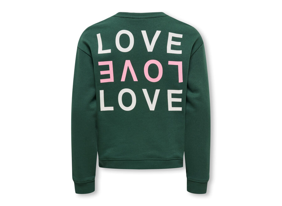 Trui Camine L/S Oversize O-neck - Pineneedle Love