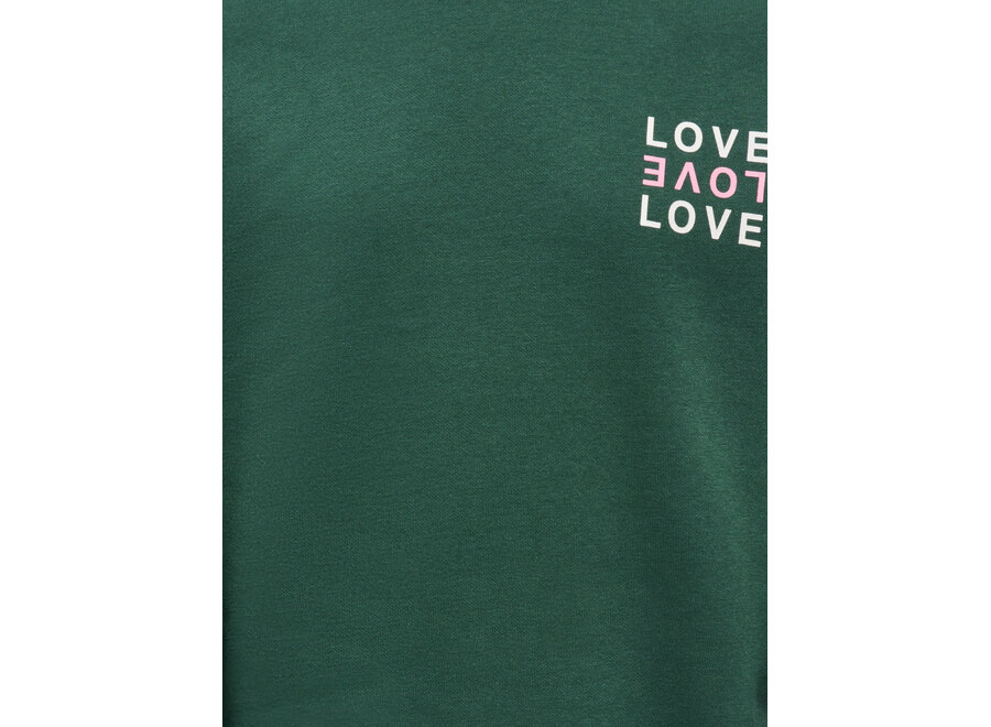 Trui Camine L/S Oversize O-neck - Pineneedle Love