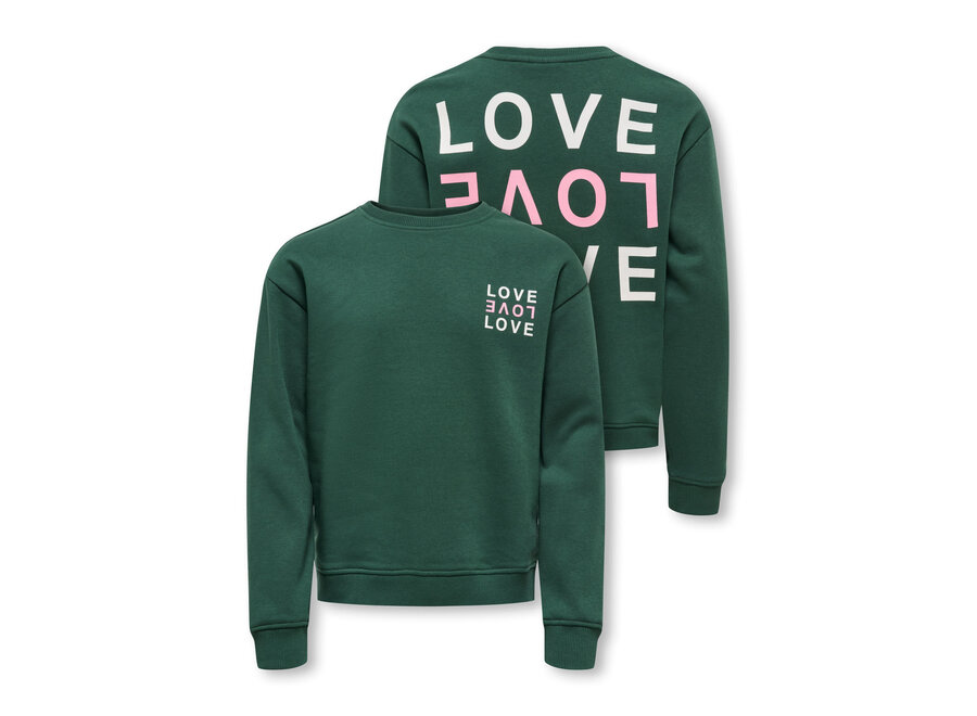 Trui Camine L/S Oversize O-neck - Pineneedle Love
