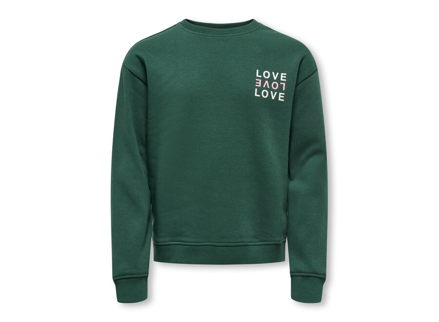 Trui Camine L/S Oversize O-neck - Pineneedle Love