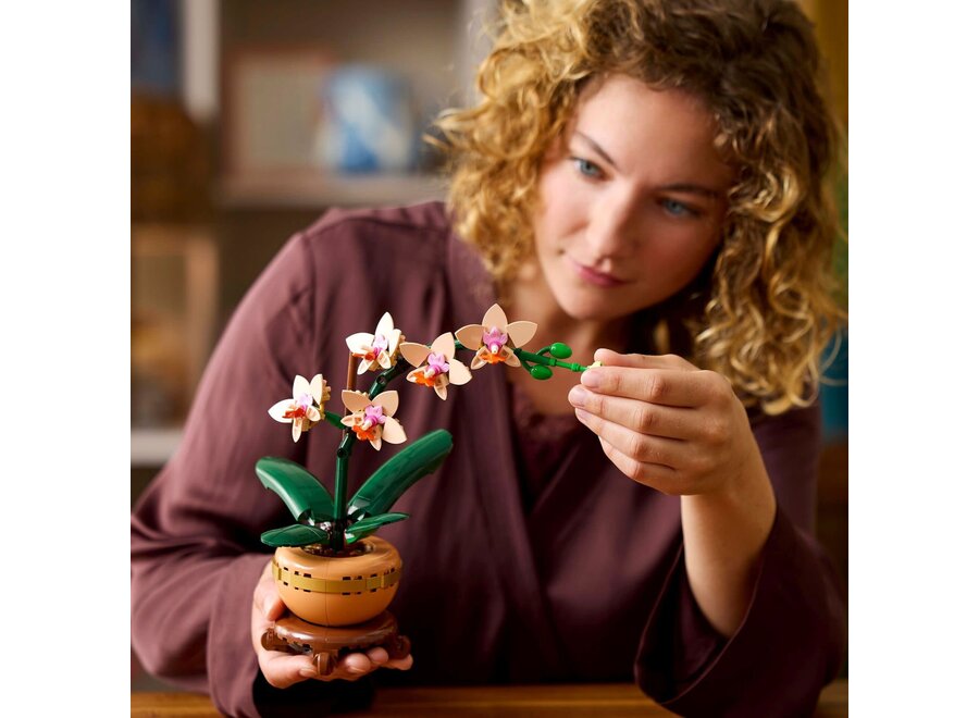 Lego - Botanicals Miniorchidee